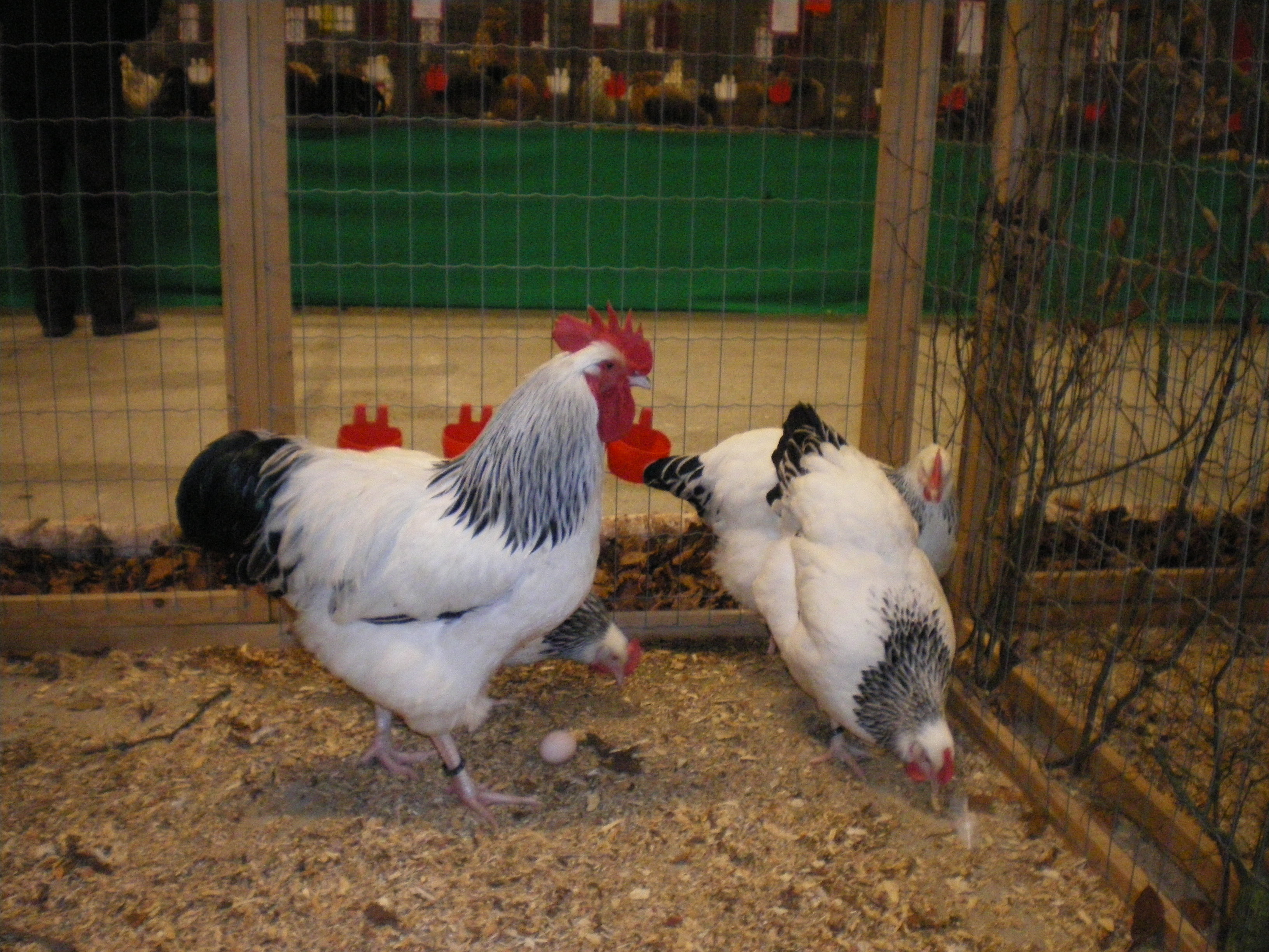 lu 2010 017